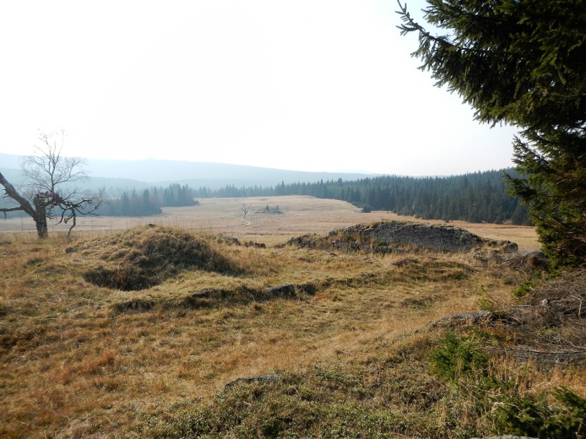 Wyprawa na Stóg, jeśli w górach, to Izerski. Można pieszo lub gondolą