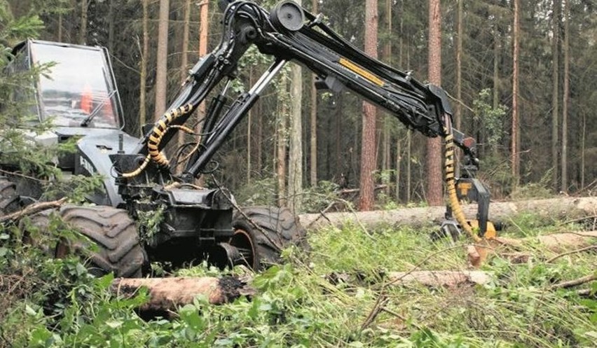 "Trybunał nakazał Polsce, aby powiadomiła Komisję,...