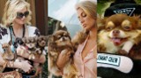 Paris Hilton żegna swojego psa. Chihuahua miała 23 lata. "Była kimś więcej niż tylko zwierzakiem"