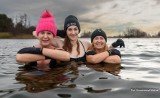 Pierwsze noworoczne kąpiele opolskich morsów. Twardziele z Opola i Kędzierzyna-Koźla woleliby jednak prawdziwą zimę