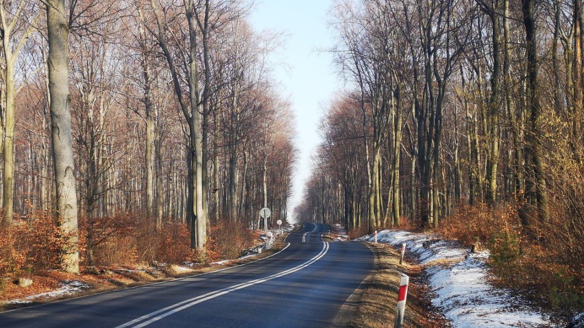 Droga pomiędzy Olkuszem a Trzebinią i 12 zdjęć, po jednym z...