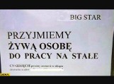 Niezwykłe ogłoszenia o pracę, czyli gdy śmiech spotyka się z rekrutacją. Zobacz te niecodzienne ogłoszenia 16.05.2024