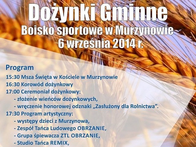 W sobotę w  Murzynowie koło Skwierzyny odbędą się gminne dożynki.