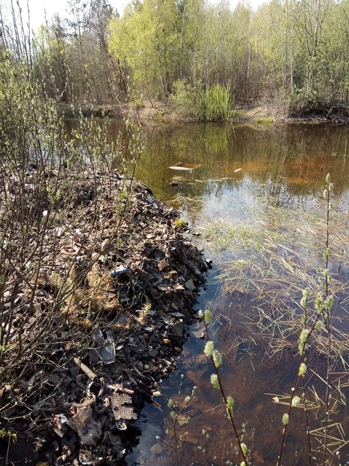 Niebezpieczne odpady w lesie w gminie Łopuszno. Policja na tropie sprawcy