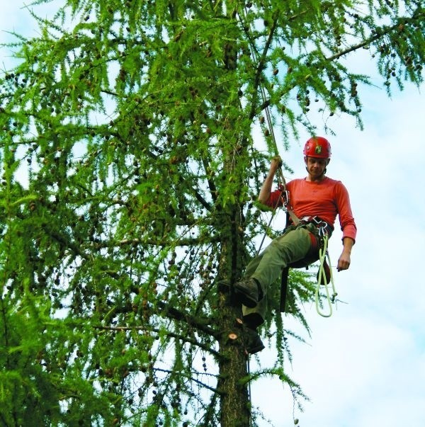 Drzewa to dla Marcina Leszczyńskiego coś więcej niż rośliny.To inny, cudowny świat. Wie o nich wszystko. Dlatego praca arborysty jest dla niego spełnieniem marzeń.