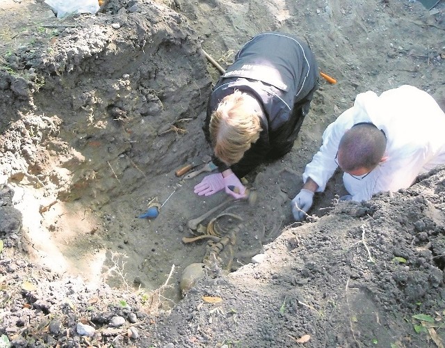 W pierwszych dniach prac prowadzonych na cmentarzu Garnizonowym odnaleziono szczątki kilku osób