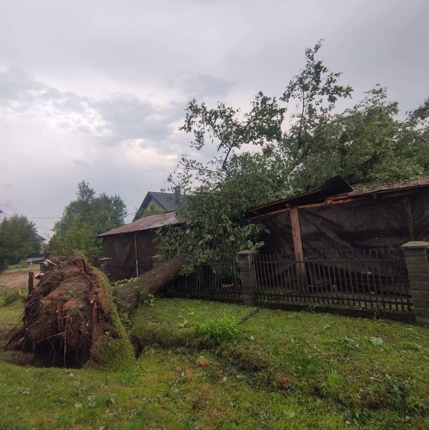 Największe zniszczenia są w Nowej Jastrząbce (gm. Lisia...