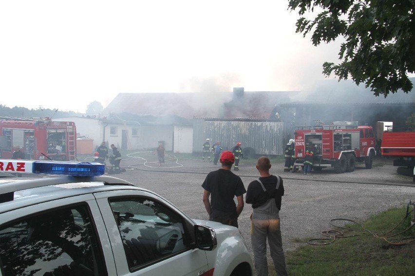 Pożar w stadninie koni w Cedzynie