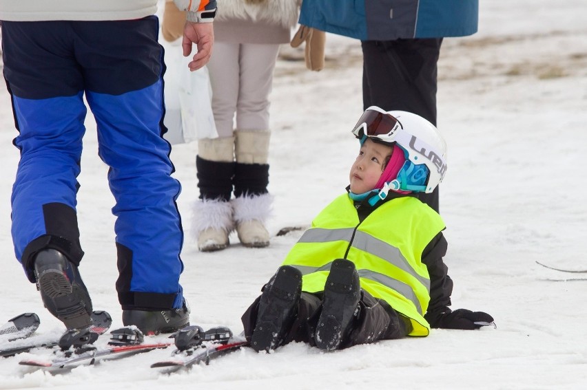 Ferie zimowe 2014 - Sokolec, Nowa Ruda