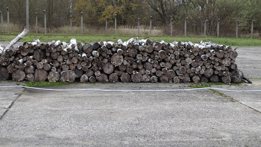 Drewno opałowe liściaste – 40 m3

Cena: 3 200 zł