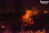 Groźny pożar. Płonęły nawet konary drzew (zdjęcia)