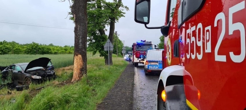 Wypadek na DK 10 w Kosztowie. Auto uderzyło w drzewo