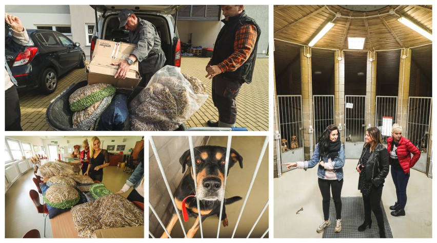Bezdomne zwierzaki ze Schroniska w Dobrej dostały nowe legowiska. Szczecińska marka i więźniowie znów łączą siły