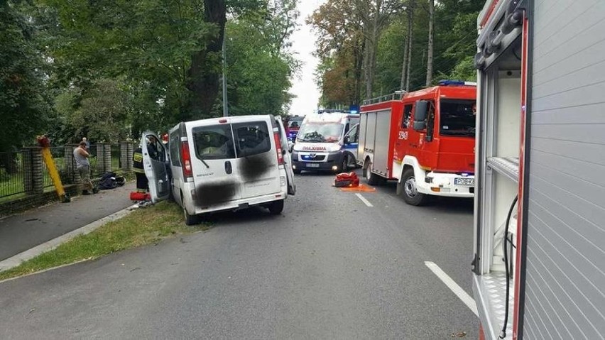 Bus roztrzaskał się na drzewie. 6 osób w szpitalu! [ZDJĘCIA]
