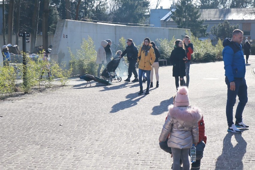 Weekend w parku, na  placu zabaw i na łyżwach  - słońce na początek ferii GALERIA ZDJĘĆ