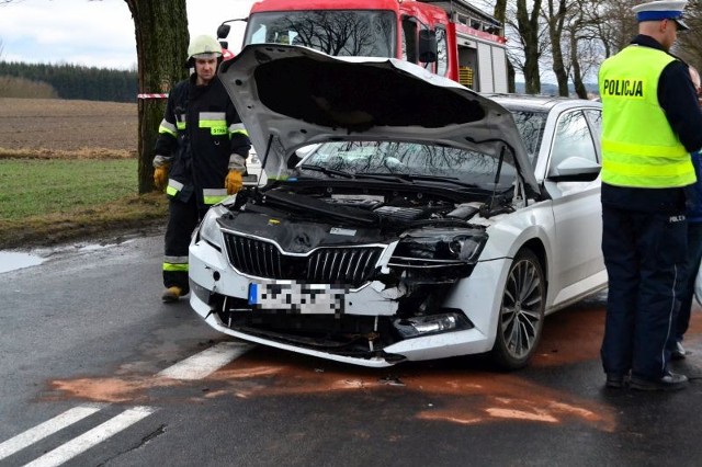 Na miejscu wypadku pojawili się ratownicy medyczni, strażacy i policja