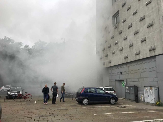 Pożar samochodu na al. Niepodległości w Poznaniu.