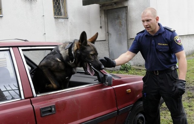 Za pozostawienie psa w samochodzie w upał może grozić do dwóch lat pozbawienia wolności