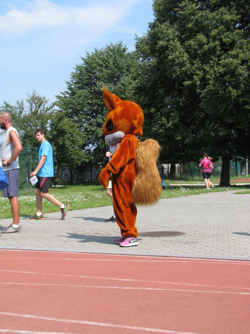 Bieg Wiewiórki w Rudzie Śląskiej