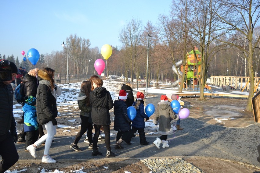 Sosnowiec: ogród jordanowski w Kazimierzu Górniczym od dziś otwarty [ZDJĘCIA i WIDEO]