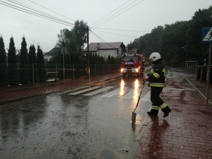 Strażacy walczą z powalonymi drzewami. Skutki opadów i porywów wiatru