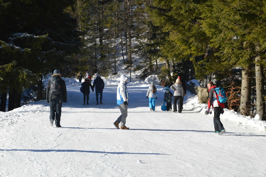 Tatry. Piękny dzień w górach. Tłumy szturmują Kasprowy Wierch [ZDJĘCIA]