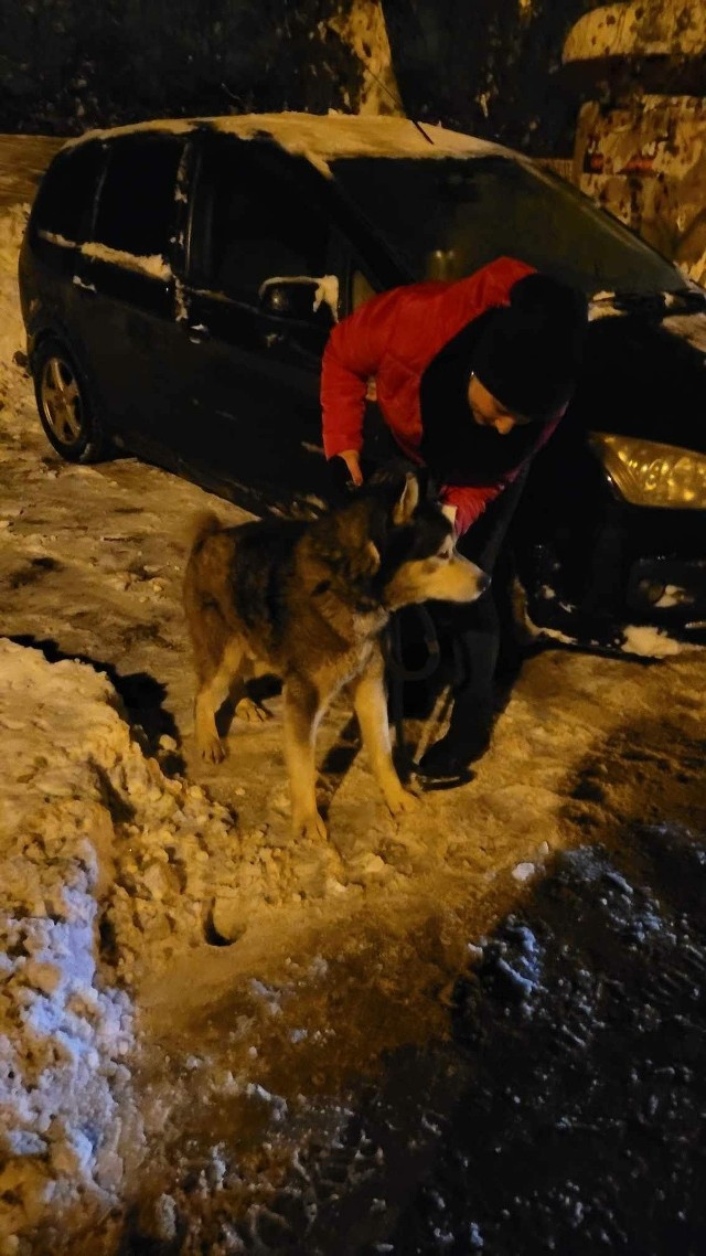 W niedzielę, 3 grudnia 2023r. wolontariusze Pet Patrol Rybnik w asyście Policji podjęli interwencję, podczas której odebrano psa właścicielowi.