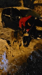 Zatrważający widok w Czerwionce-Leszczyny. Pet Patrol Rybnik odebrał właścicielom 13-letniego psa Barniego. Pies przeżył piekło