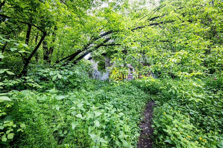 Tak teraz wygląda teren, gdzie ma powstać park Grzegórzecki