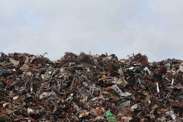 Są zarzuty za nielegalne wysypisko śmieci w Strzyżowie. Usłyszało je sześć  osób | Kurier Lubelski