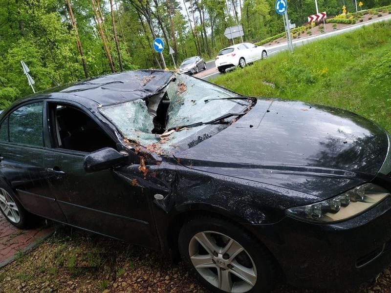 Podczas burzy drzewo zwaliło się na samochód w Bobrku na północnej obwodnicy Oświęcimia [ZDJĘCIA]