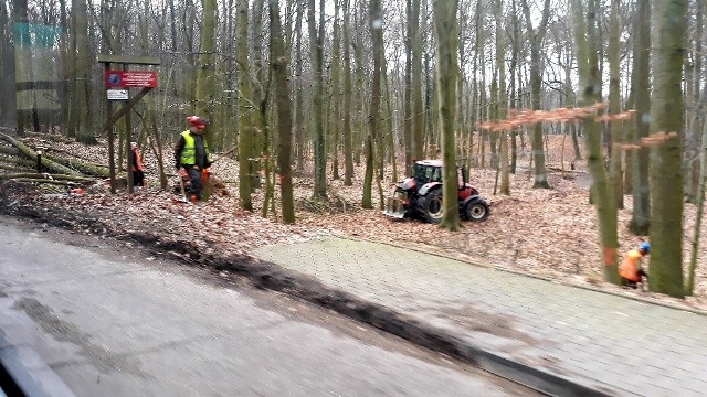 Trwa wycinka drzew przy drodze między Przęsocinem a Policami. Prędkość jest ograniczona do 40na kilometrów na godzinę. Obowiązuje ręczne kierowanie ruchem. 