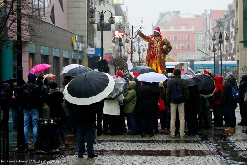 "Złoty Donek" już we Wrocławiu. Stanął przy ul. Świdnickiej (FILM, ZDJĘCIA)