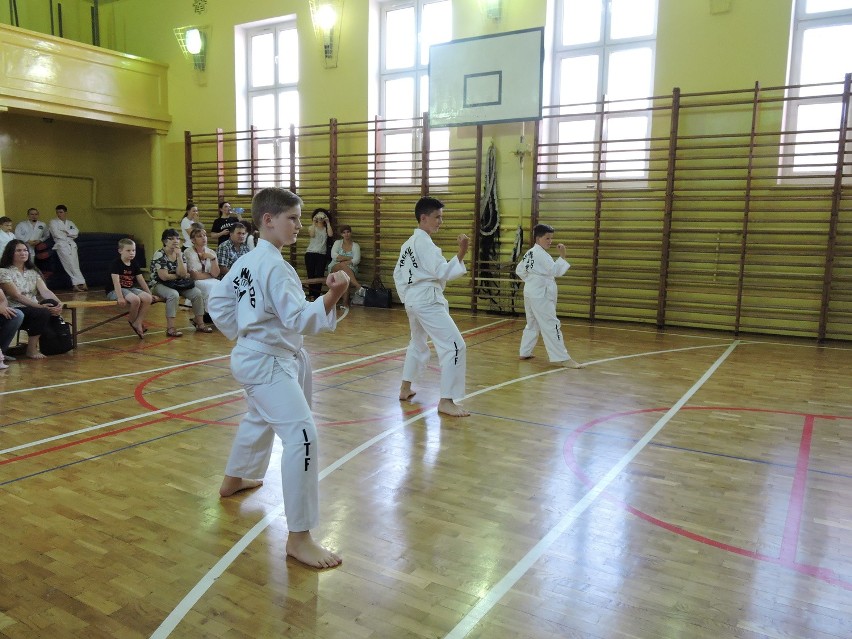 Adepci taekwondo pokazali, co potrafią [ZDJĘCIA]