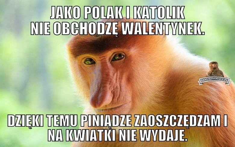 Życzenia na walentynki dla kierowców. Mokbilki,...