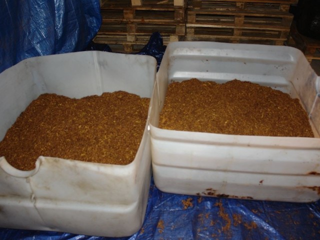 W garażu 43-latka z powiatu toruńskiego znaleziono ponad 1200 krajanki tytoniowej i ponad 100 kg suszu