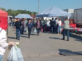 Mnóstwo ludzi na Giełdzie w Sandomierzu w sobotę, 7 maja. Zobacz na zdjęciach co się działo