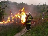 Pożary altanek w Radomiu - sprawca nie wykryty