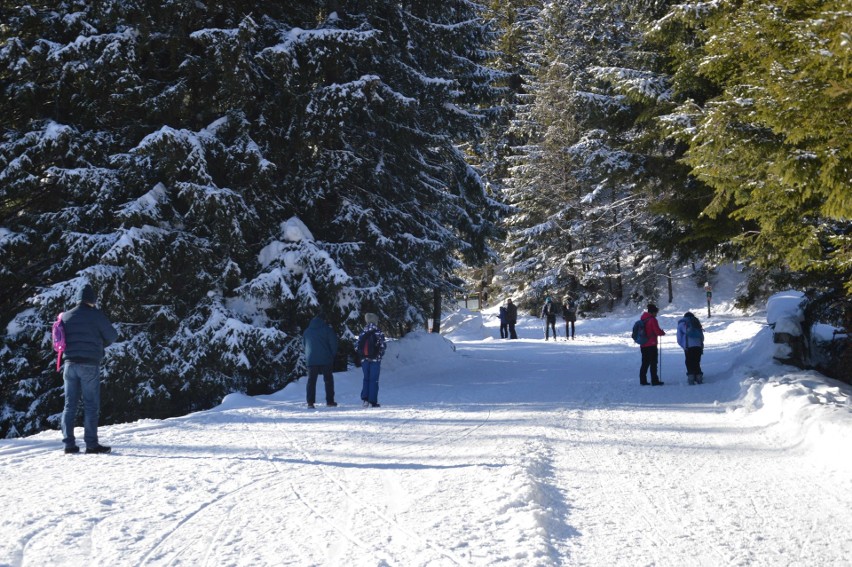 Zakopane. Piękna pogoda w Tatrach. Tłumy chcą wjechać na Kasprowy Wierch [ZDJĘCIA]