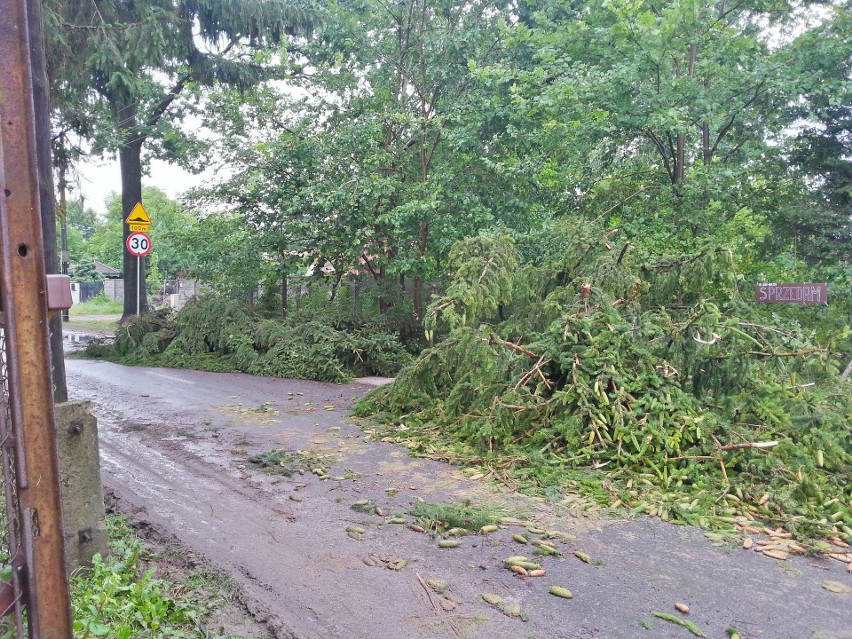 Burza w Łodzi. Nawałnica nad Łodzią. Powalone drzewa, gałęzie na drogach, zalane ulice [ZDJĘCIA]