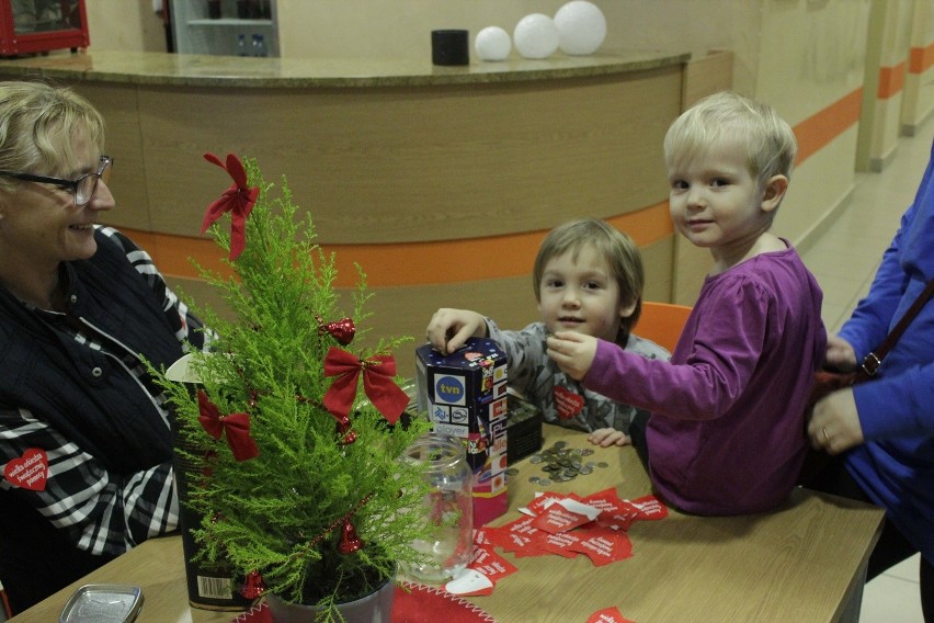 Wielka Orkiestra Świątecznej Pomocy w Opolu Lubelskim. Zobacz zdjęcia