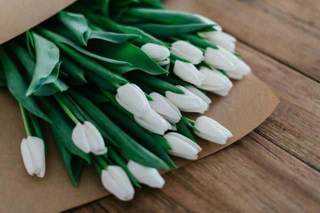 Aby cieszyć się pięknem ciętych tulipanów jak najdłużej, warto zastosować kilka prostych trików florystów. W naszej galerii prezentujemy sprawdzone metody na przedłużenie żywotności tych wiosennych kwiatów w wazonie.