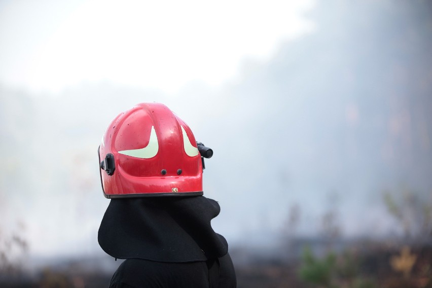 Pożar lasu przy ulicy Inwalidów w Bydgoszczy. Gasił go także specjalny samolot [zobacz zdjęcia]