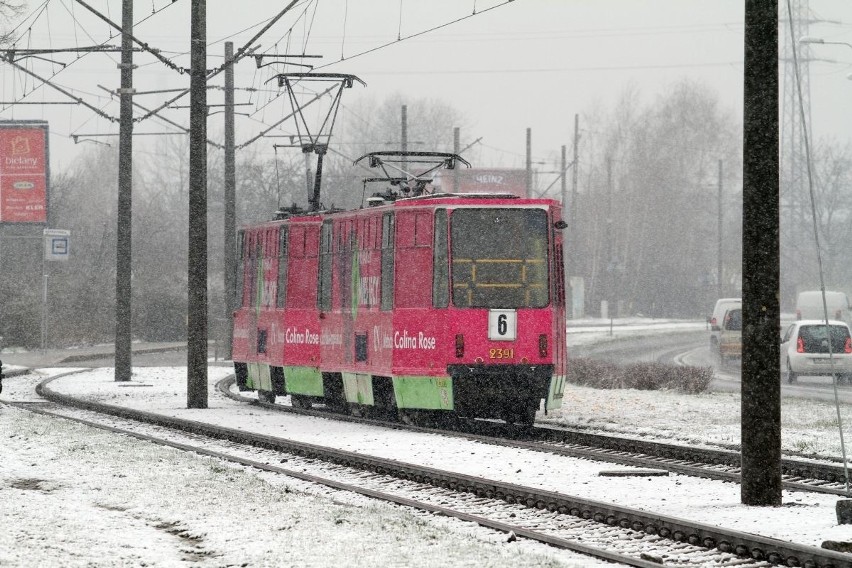 Śnieżyca we Wrocławiu. Atak zimy w mieście (FILM, ZDJĘCIA, PROGNOZA)