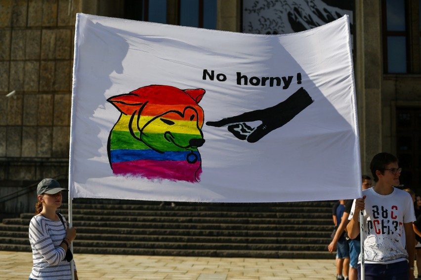 Młodzież Wszechpolska przeciwko LGBT