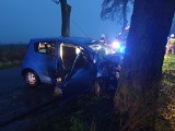 Tragedia w powiecie chełmińskim. Samochód osobowy uderzył w drzewo. Jedna osoba nie żyje