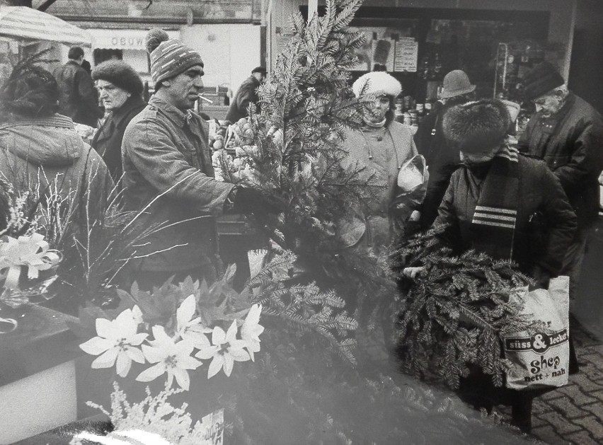 Tak przed laty kupowano choinki w Katowicach. Na zdjęciach,...