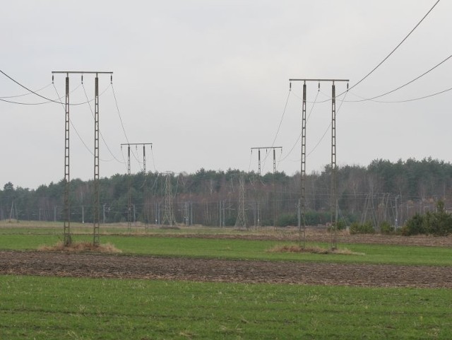 Elektrownia słoneczna w gminie Krasocin ciągle daleko. Oleszno odpadłoNajbardziej prawdopodobnym miejscem, gdzie w przyszłości może stanąć elektrownia słoneczna, są okolice Koziej Wsi przy stacji transformatorowej.