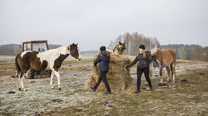 Rolnicy. Podlasie. Andrzej Onopiuk ma prośbę do fanów...