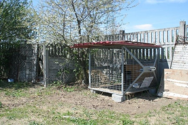 W wyjątkowych przypadkach, agresywne psy są przetrzymywane w kojcach na terenie oczyszczalni ścieków.